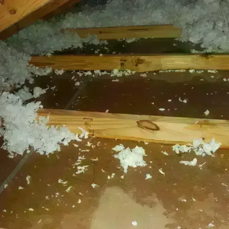 Attic Water Damage in Rock Hill, NY