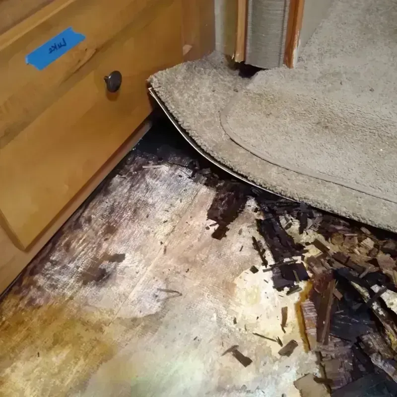 Wood Floor Water Damage in Rock Hill, NY